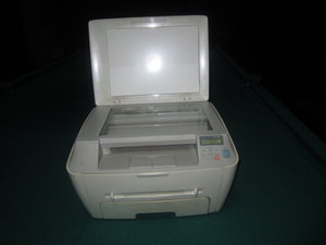 IMG_3906.JPG