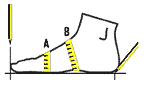 foot_01.png