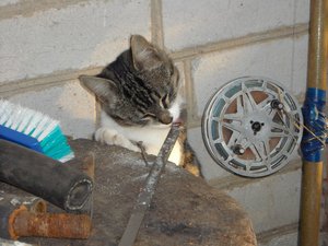 IMG_5366.JPG