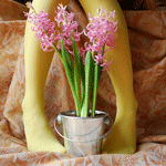 image_10903102029471357480.gif