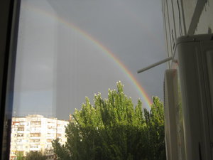 IMG_0356.JPG
