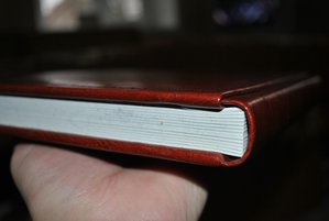 DSC_0291.JPG
