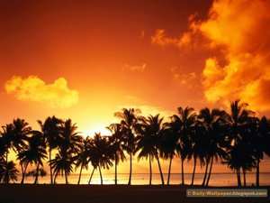 287221281_nature_0007.jpg