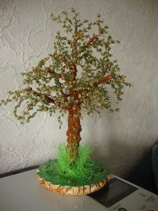 Копия DSC07744.JPG