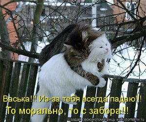 васька.jpg