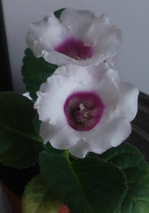 DSC05146.jpg