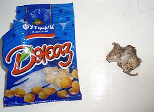 12122222jpg.jpg