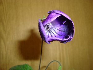 DSC03747.JPG