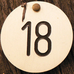 31643972_18.jpg