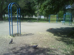 DSC01893.JPG