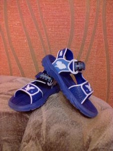 21052012977.jpg