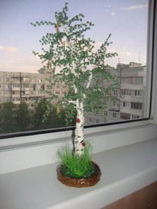 Копия DSC08050.JPG