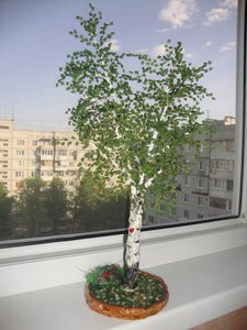 Копия DSC08061.JPG