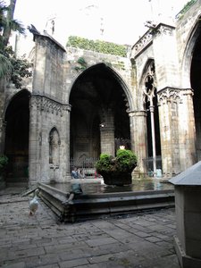 DSCN5296.JPG