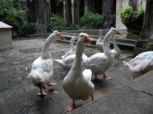 DSCN5298.JPG
