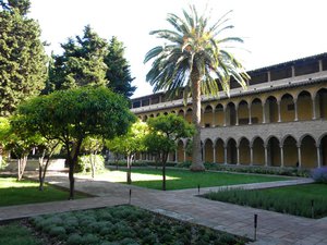 DSCN5523.JPG