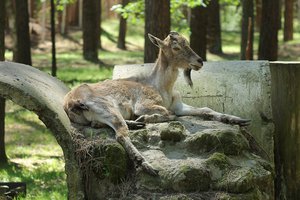 IMG_46731.jpg