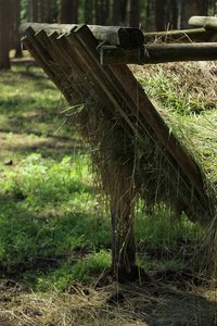IMG_46571.jpg