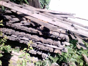 Фотография 2011-07-12 в 09.26.jpg