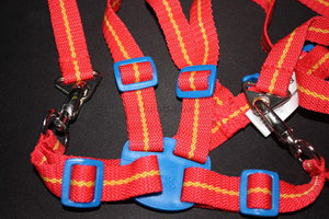 1069344_0.jpg