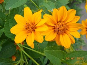 DSCN5059.JPG