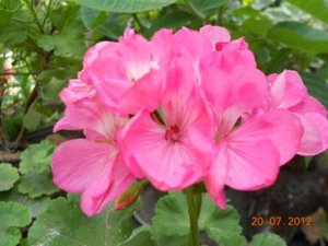 DSCN5182.JPG