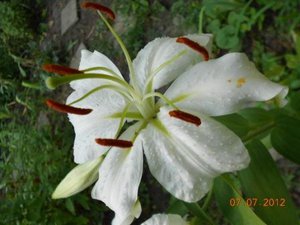 DSCN5073.JPG