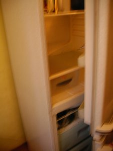 IMGP9785.jpg