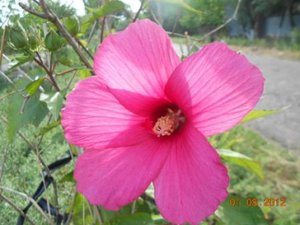 DSCN5252.JPG