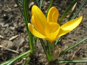 IMG_5074.jpg