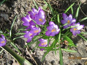 IMG_5060.jpg