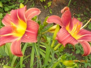 DSCN5088.JPG
