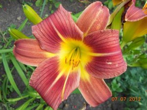DSCN5091.JPG