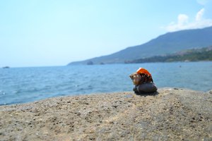 DSC_0164.JPG
