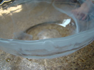 DSC00978.JPG