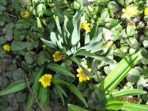 IMG_5065.jpg