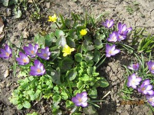 IMG_5062.jpg
