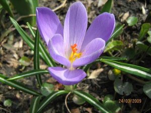 IMG_5080.jpg