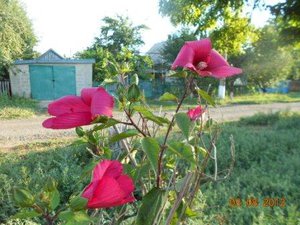 DSCN5296.JPG