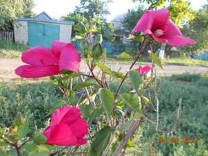 DSCN5297.JPG