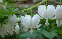bach-khoa-da-nang-21-m.jpg