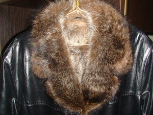 DSC02726.JPG