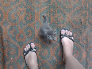 2012-08-08 11.38.55.jpg