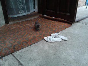 2012-08-08 11.39.14.jpg