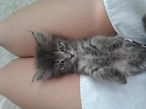 2012-08-08 11.39.49.jpg