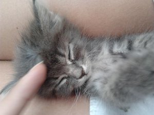 2012-08-08 11.41.15.jpg