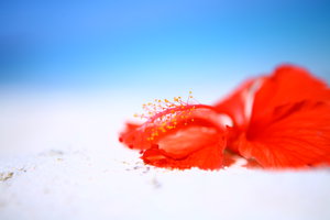IMG_8321.JPG