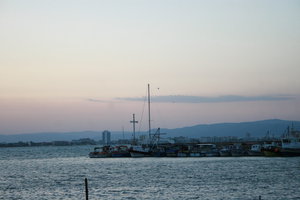IMG_0499.JPG