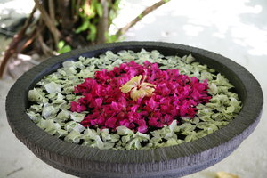 IMG_9500.JPG