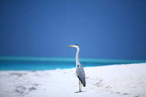IMG_2025.JPG